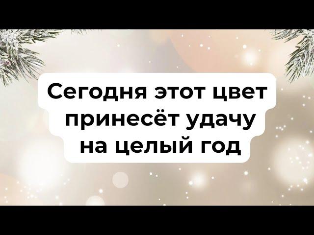 Сегодня этот цвет принесёт удачу на целый год.