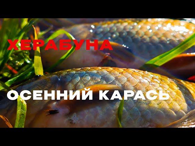 ОСЕНЬЮ клюёт КРУПНЯК!? JIADIAONI Extreme (28/5,4 м)