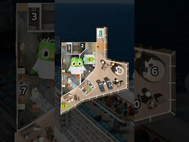 nowhere to hide at sea  #duoworldcruise #duolingo