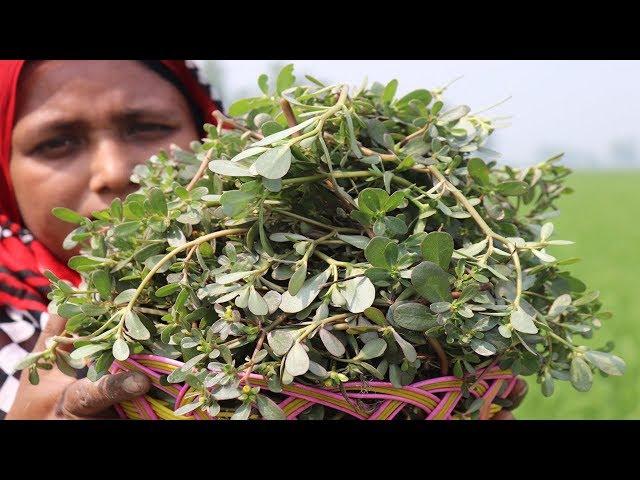 FARM FRESH Seci shak & Shrimp Vaji Recipe Delicious Seci shak vaji Vegetable Fry Recipe Village Food