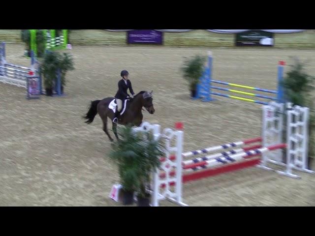 Video of DOWN TO THE WIRE ridden by KORA DUMPERT from ShowNet!