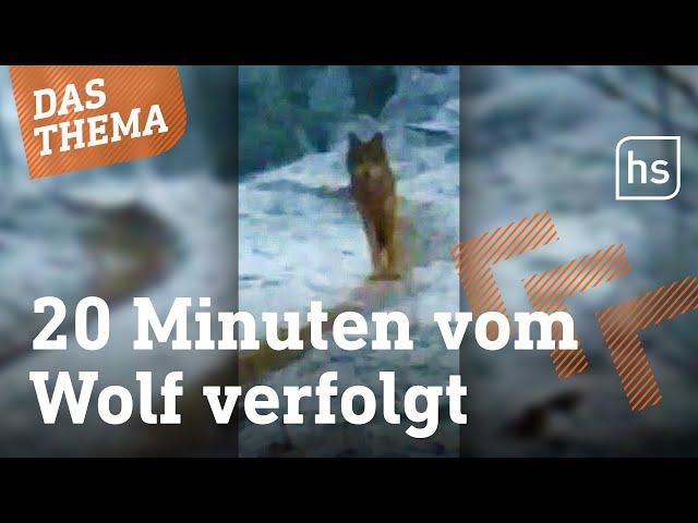 Greifenstein: Wolf verfolgt Reiterinnen im Wald | hessenschau DAS THEMA