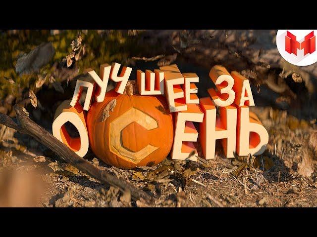 "Баги, Приколы, Фейлы" Лучшее за осень 2019