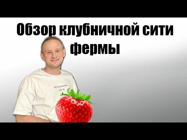 ЛУЧШАЯ КЛУБНИЧНАЯ ФЕРМА В МИРЕ