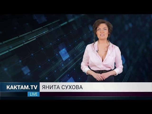 новости КАК ТАМ Ласковый щетинистый мундиаль 14