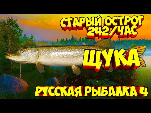 русская рыбалка 4 - Щука озеро Старый Острог - рр4 фарм Алексей Майоров