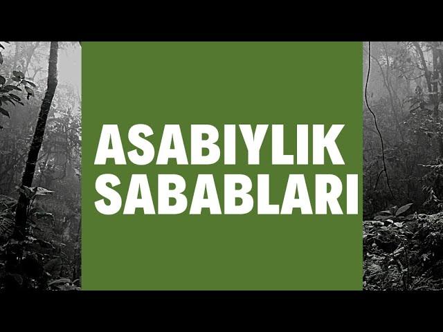 Asabiylik holati sabablari (psixosomatika)