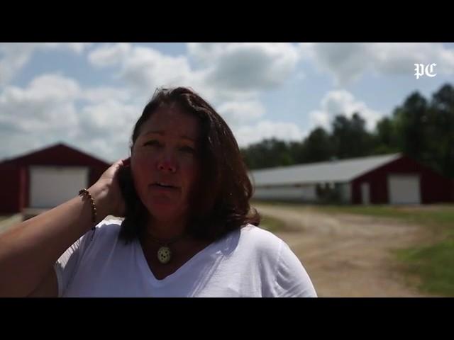 Manchester Farms Quail near Columbia raises quail for 40 years