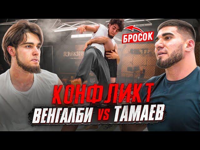 Тамаев зарубился с Венгалби! Жесткий Конфликт. Забрал 7 млн