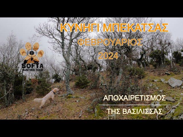 ΚΥΝΗΓΙ ΜΠΕΚΑΤΣΑΣ ΦΕΒΡΟΥΑΡΙΟΣ 2024 / Woodcock Hunting / Caccia alla Beccaccia / Çulluk Avı [UHD 4K]