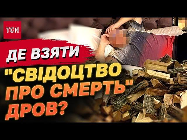 ДРОВА БЕЗ ДОКУМЕНТІВ — В’ЯЗНИЦЯ або ШТРАФИ на МІЛЬЙОНИ?!