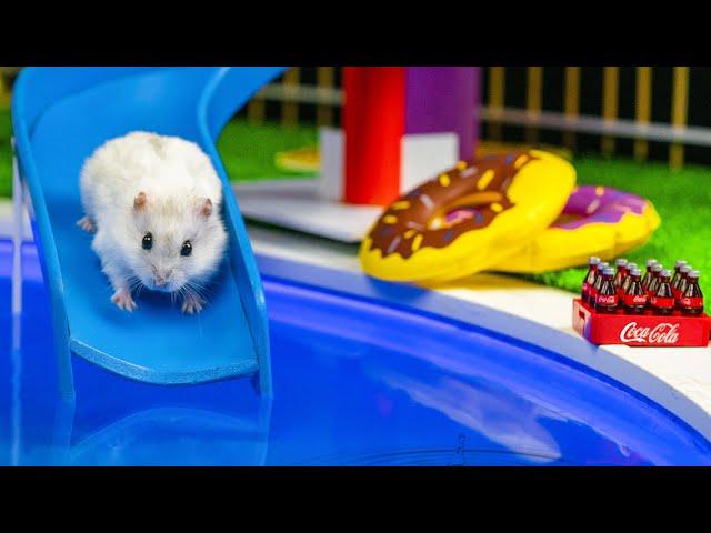 AQUAPARK MAZE FOR HAMSTER! Hamster Escapes the Pool Maze for Pets