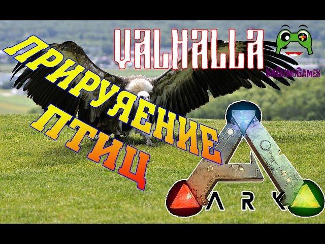 Приручение Птиц Argenavis в ARK Survival Evolved Valhalla MOD