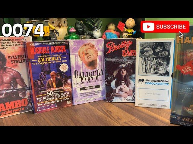 OH, HAULS YES [0074] From EBAY & CITY THRIFT [#VHS #haul #VHShaul #VHShunting]