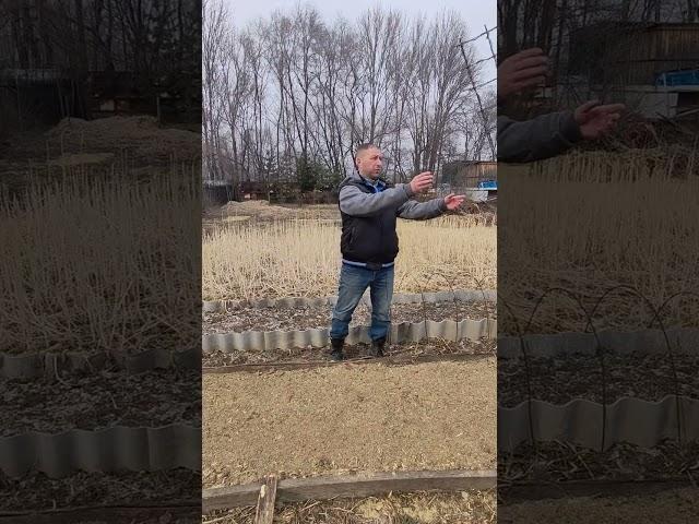 эффективный способ борьбы с котами на грядках