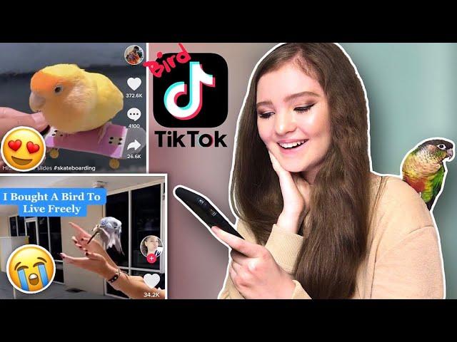 Reacting to Viral Bird Tiktoks!!