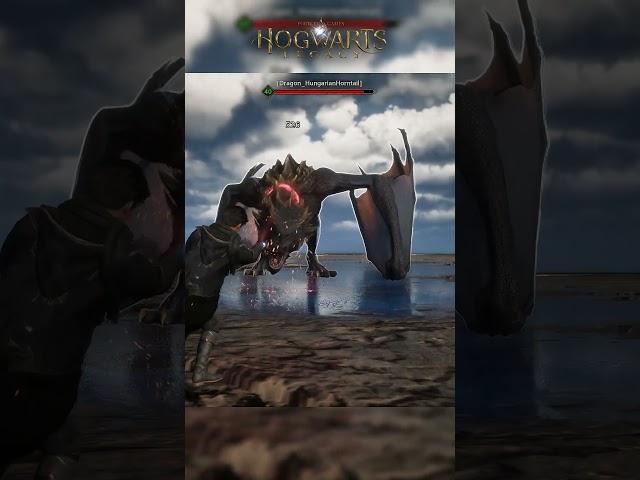 AVADA KEDAVRA on a Dragon in Hogwarts Legacy  #hogwarts #hogwartslegacy #dragon