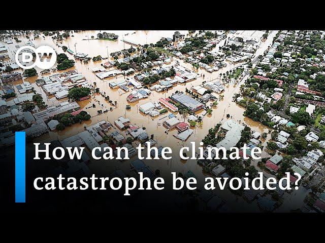 UN releases handbook of climate change solutions | DW News