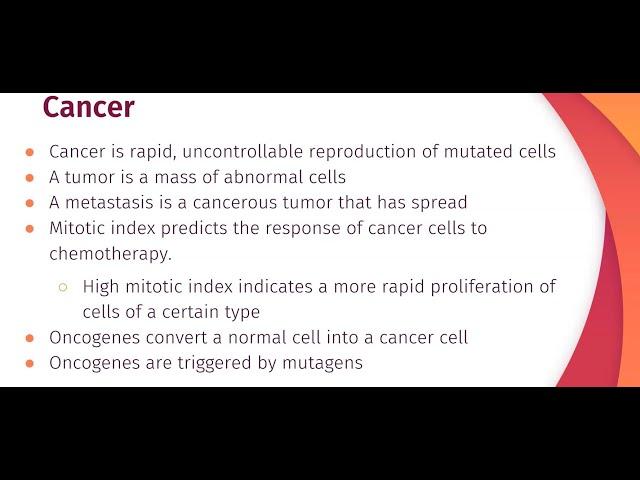 Calculating Mitotic Index + Cancer (Biology Ep. 8)