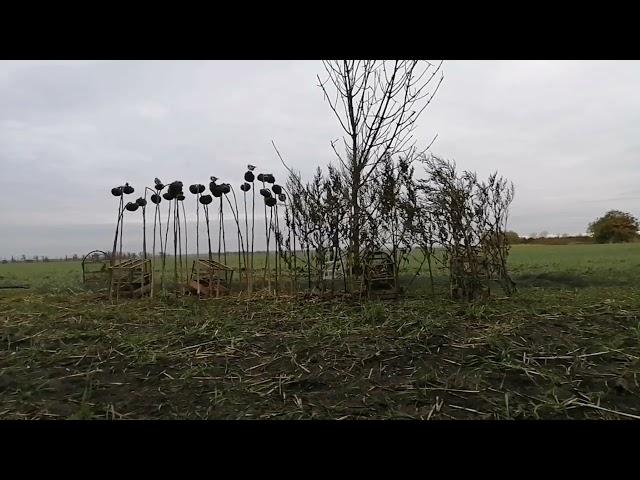 Ловля певчих птиц. репела, щеглы, чижи, зеленухи