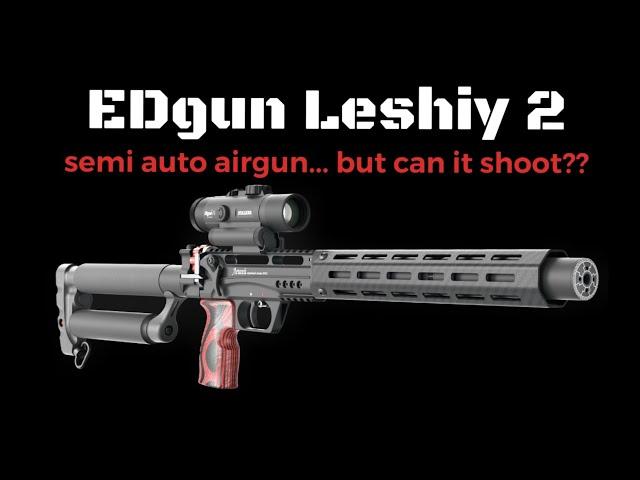 EDgun Leshiy 2 - Long Range Accuracy (can it shoot??)