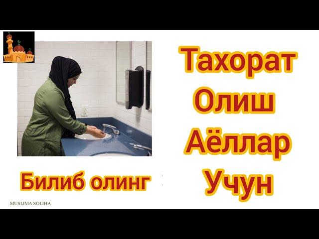 Аёллар тахорати