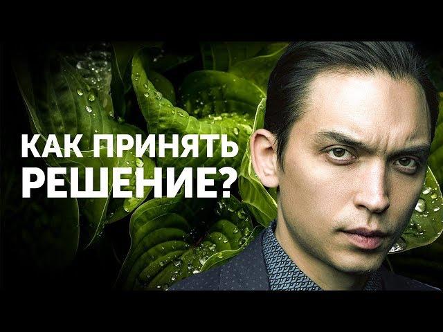 Как принять решение? | Петр Осипов Метаморфозы БМ