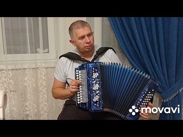 Стояла чудная сосна.Гармонь.