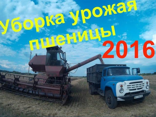 Уборка урожая пшеницы 2016