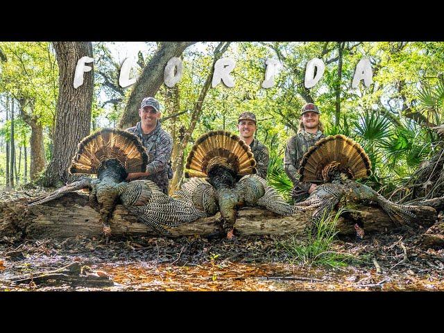 Turkey Hunting FLORIDA!! 3 GOBBLERS In 2 DAYS