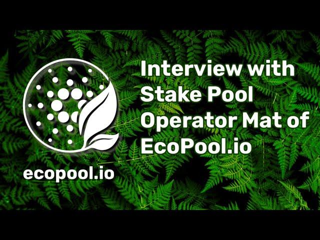 Interview with a Cardano Stake Pool Operator - Mat from EcoPool.io