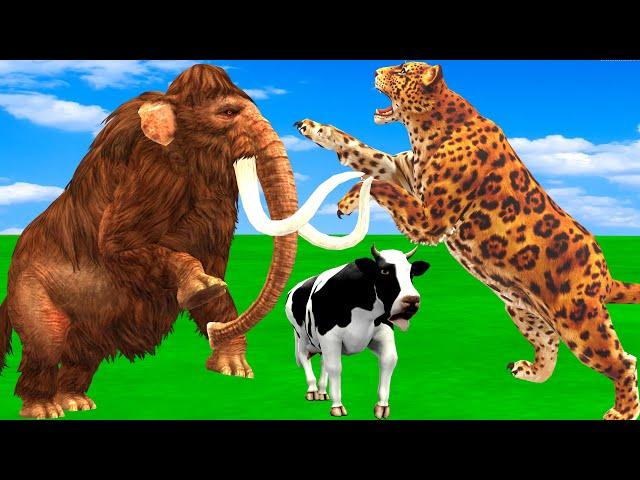 Crazy Buffalo Uses Sharp Horn Stab Leopard To Rescue Cow Elephant Saved by Woolly Mammoth Vs Tiger