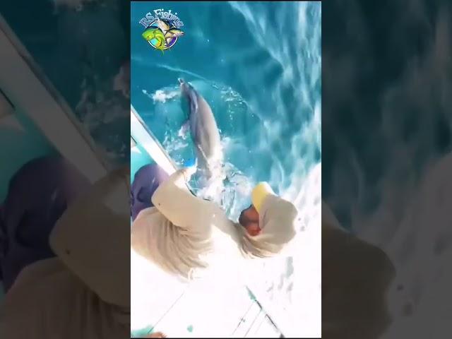 #Sea Fish#Sea fishing#Bigg Fish#Sea Fishing in UA#dolphin  Fish#Shorts video#viral Fishing vide