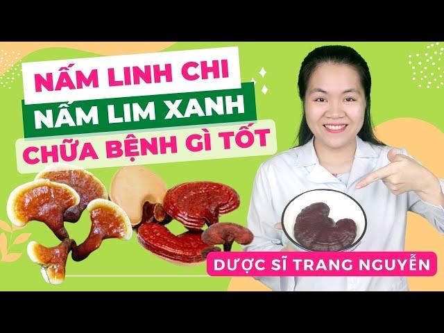 Tác dụng nấm linh chi đỏ hay nấm lim xanh ngăn ngừa ung thư tốt nhất