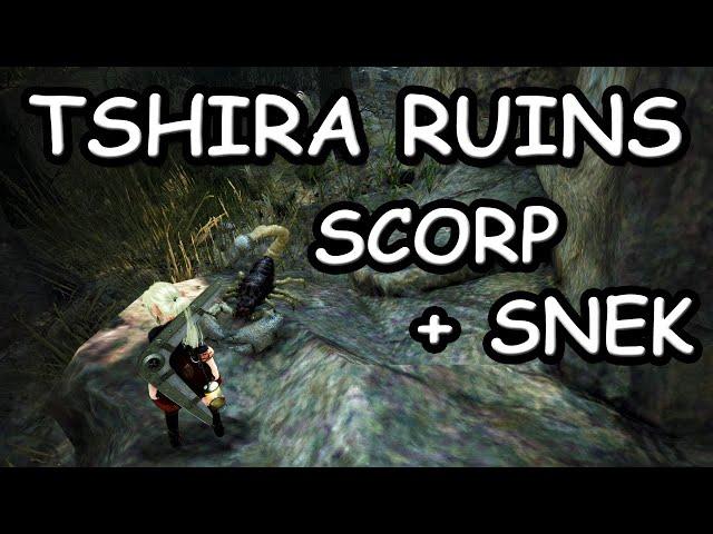 BDO Gathering - Tshira Ruins - Scorpion/Snake Meat - Best rotation in the game!