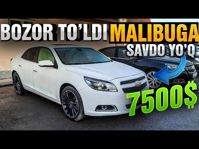 ARZON MALIBU 1 ORLANDO TREKKER MALIBU 2 NARXLARI...