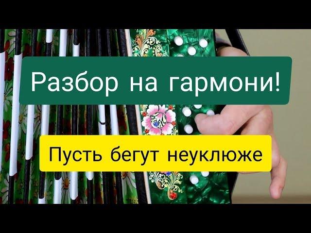 Разбор на гармони. Пусть бегут неуклюже! Обучающее видео.