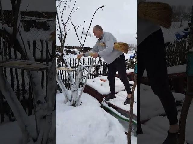 Дед Вова кормит ворон снова:)))