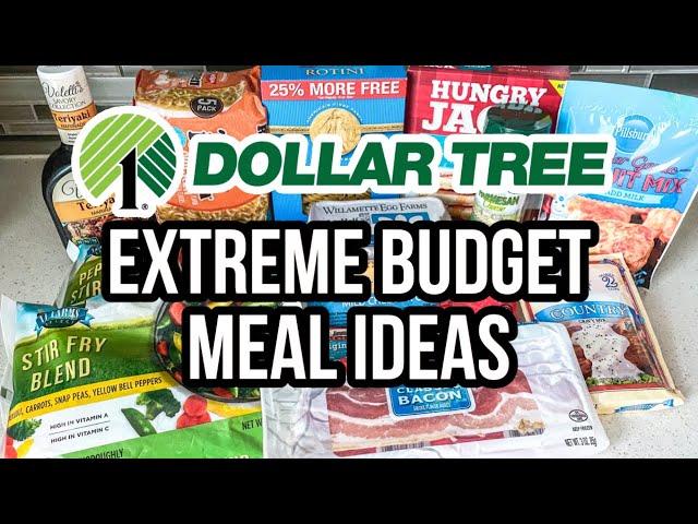 EXTREME BUDGET MEALS DOLLAR TREE | Dollar Tree 5 Ingredient Dinners