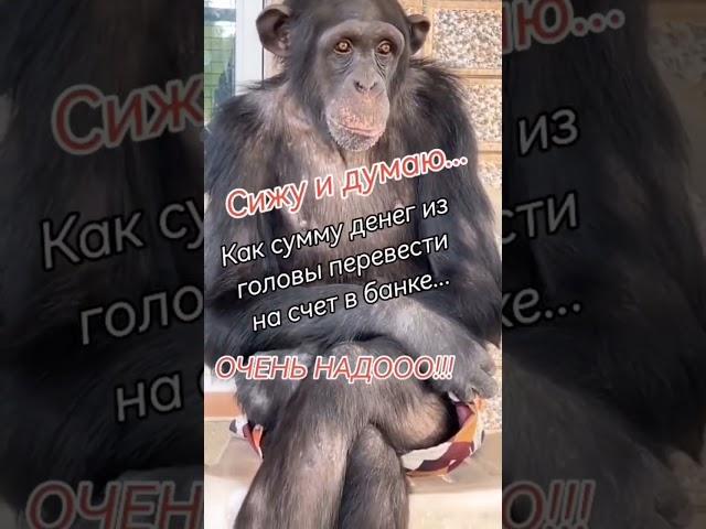 Всем Хорошего Настроения  #юмор #смех #stories #приколы