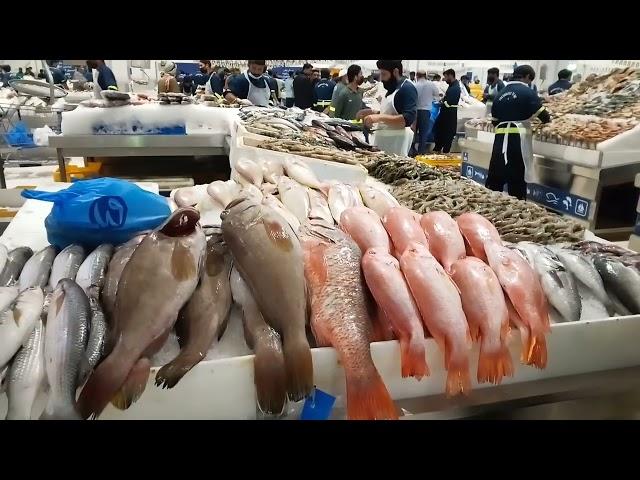 Fish market dubai "dubai me machli bazar"vlog"@aamirriaz0232