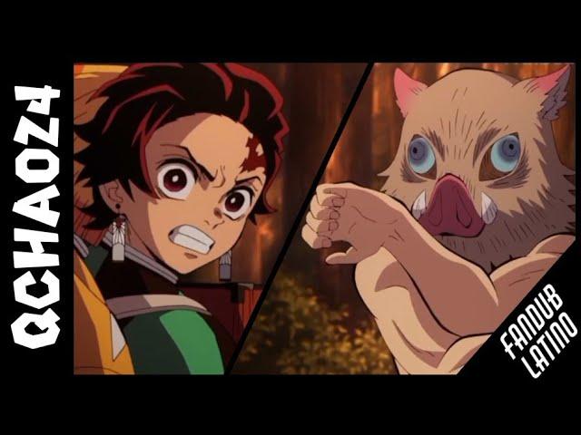 ¡GONPACHIRO KAMABOKO!  (Fandub Latino) - Demon Slayer - Qchao24