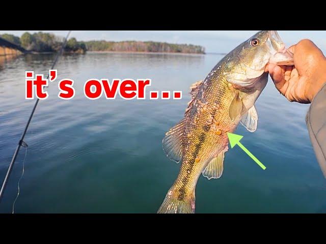 it's slowly killing our LARGEMOUTH BASS - (your lake could be next)