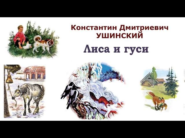 К.Д.Ушинский "Лиса и гуси" - Рассказы и сказки Ушинского - Слушать