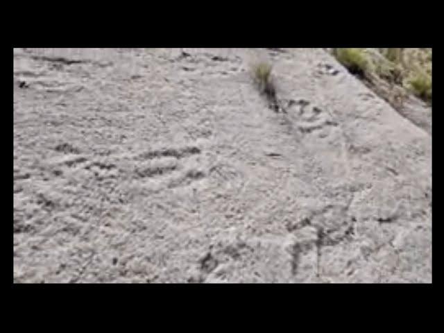 следы динозавров в горах Таджикистане