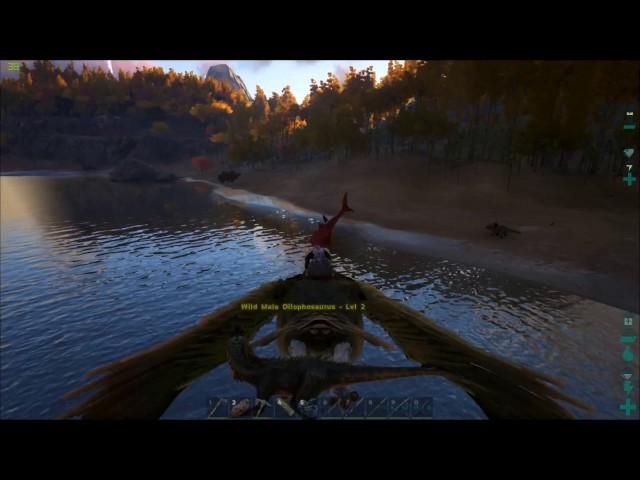 ARK: A Lesson In Fails -_-