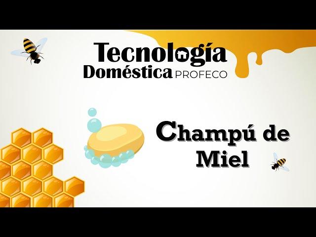 Champú Sólido de Miel de Abeja |  Tecnología Doméstica | Profeco