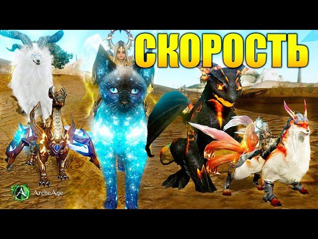 Новая имба Archeage! Сравнение по скорости с топами. Нео звездный кот архейдж MMORPG.