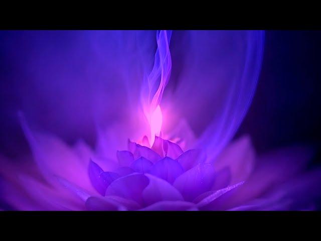 Violet Flame 528hz  Love Frequency Miracle Tone - Transmute Negative Energy - Reiki Music - 12hr