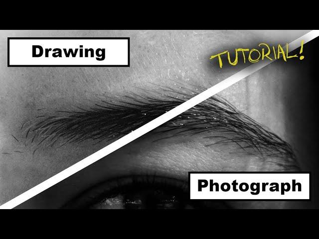 How to Draw a Hyper Realistic Eyebrow! EASY Step-by-Step